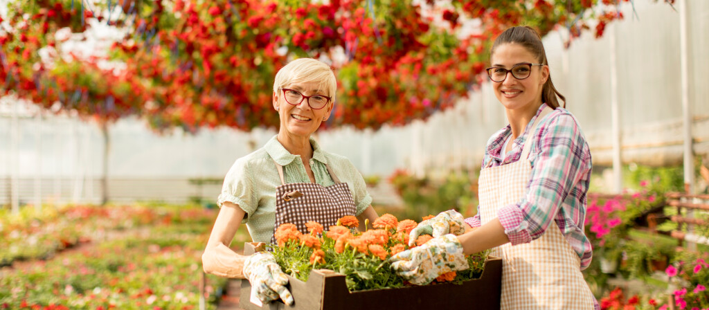 Johannes König e.U. (SPAR)